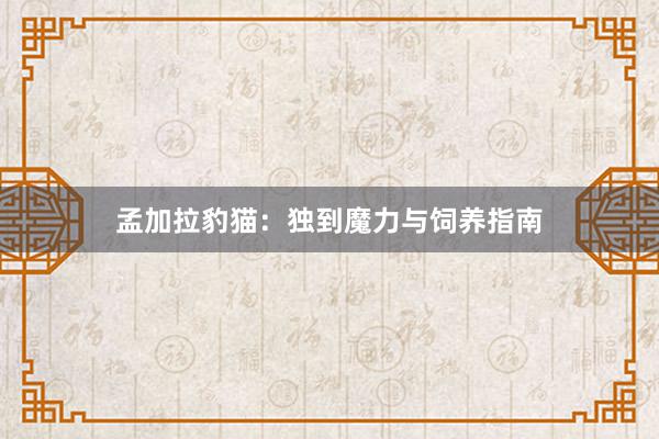孟加拉豹猫：独到魔力与饲养指南