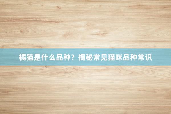 橘猫是什么品种？揭秘常见猫咪品种常识