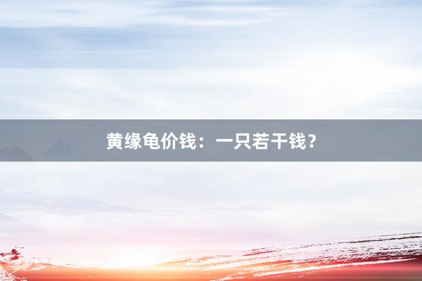 黄缘龟价钱：一只若干钱？