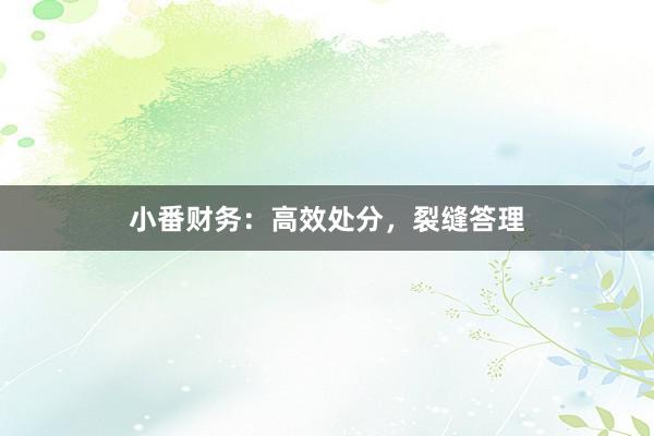 小番财务：高效处分，裂缝答理